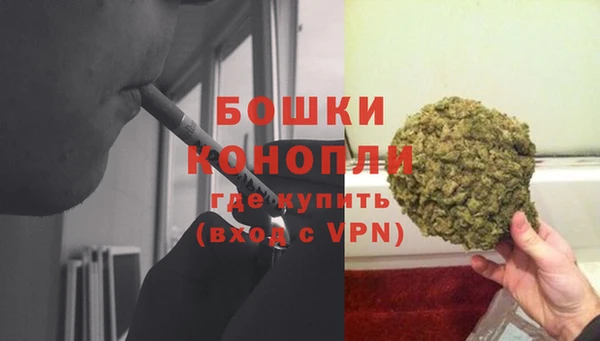 PSILOCYBIN Медногорск