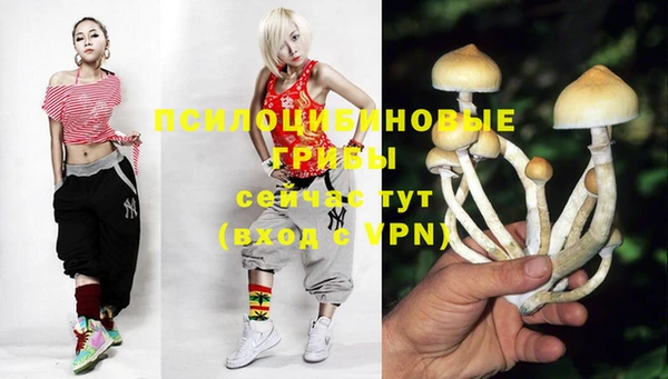 PSILOCYBIN Медногорск